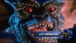 ¡MUY TIERNOS pero pueden ser tu peor pesadilla!