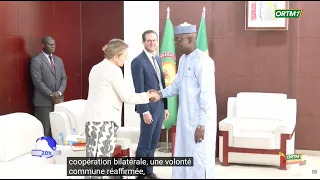 Audience - Swiss Cooperation and the Director General of the National Volunteering Center at the NTC