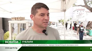 ПЧЕЛАРИ: Искат подкрепа от държавата, заради предстоящия масиран внос