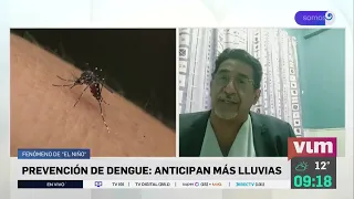 Rain and mosquitoes are coming: El Niño warned to trigger a dengue outbreak