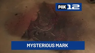 Interesting discovery made inside NE Portland business
