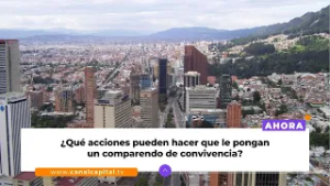 Más de 61 mil comparendos por convivencia se han impuesto en enero de 2026 | Actualidad