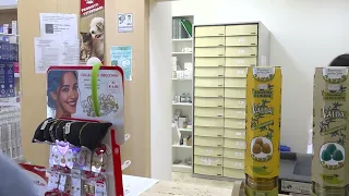 Municipal pharmacy opens in Montesilvano - 07/30/2026