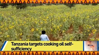 Tanzania targets cooking oil self-sufficiency