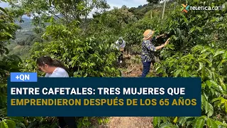 Among Coffee Fields: Three Women Who Became Entrepreneurs After 65