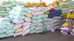 JOURNAL DE L'ECO - Le Ghana mise sur l'assemblage local des tracteurs pour dynamiser son agriculture