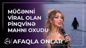 Lətifə Soyuöz viral olan pinqvinə MAHNI OXUDU / Afaqla onlar