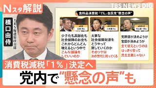 消費税減税「1％」決定へ 党内不満が表面化、世論調査で減税「賛成」半数以上…支持率回復に「内閣改造」？【Nスタ解説】｜TBS NEWS DIG
