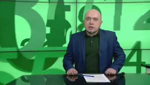 Почему забуксовала идея "ОСАГО для собак"? В фокусе событий