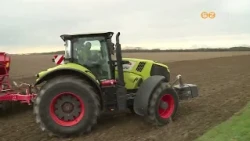 A hőség és az aszály miatt rekordalacsony az idei kukorica hozam