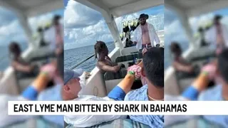 'It was like a huge dog bite': Niantic man recounts shark attack while snorkeling in the Bahamas