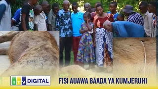 FISI AUAWA BAADA YA KUMJERUHI MWANAMKE TABORA