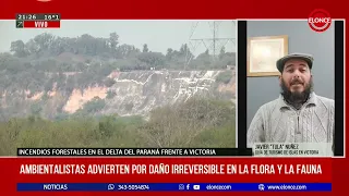 After the Delta fires, environmentalists warn of irreversible damage to flora and fauna