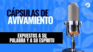 Exposed to His Word and His Spirit | Revival Capsules | Christian Podcast