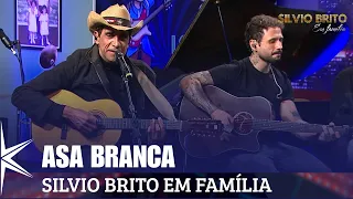 Asa Branca - Sidiney Violeiro