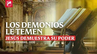Readings and Homily - 09/01/2026 - Fr. Mark