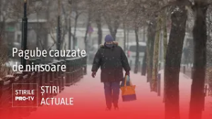 Ninsorile au provocat pagube masive