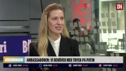 Ukrainas ambassadör: "Vi står inför en mycket svår vinter"
