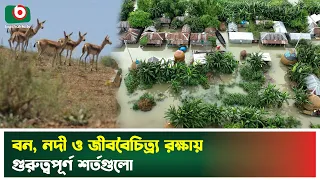 জলবায়ু পরিবর্তন ও পরিবেশ বিপর্যয় মোকবিলায় যা দরকার | Environment | Global Warming | Tv News
