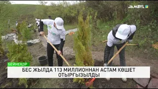 Бес жылда 113 миллионнан астам көшет отырғызылды