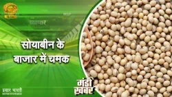 Mandi News