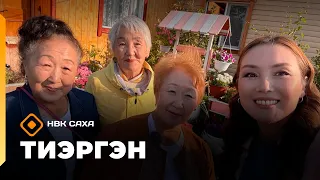 «Тиэргэн»  Уулаах Аан олохтоохторо Прасковья Ильинична помидор олордуутун,  (20.08.26)