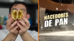 Completo or Choripán filling? Reinvent your empanada fillings 🥟 | Bread Makers