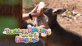 Teaching a kangaroo how to kangaroo