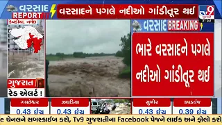 Narmada Rains: Heavy Rain Hits Kevadiya, Road Closed After Overflow | Gujarat | TV9Gujarati