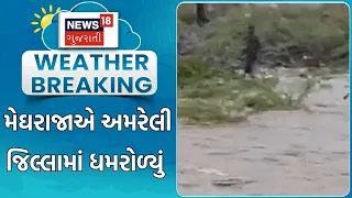 Amreli Rain News | મેઘરાજાએ અમરેલી જિલ્લામાં ધમરોળ્યું | Amreli Rain | Monsoon | Heavy Rain Update
