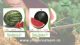 Agriculture Report with Ovidiu Ghinea P3 06/30/2026