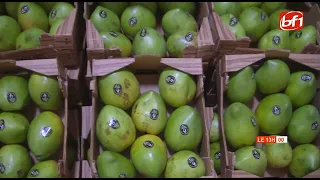 5th Mango Fair: Stakeholders and experts seek solutions to boost the industry