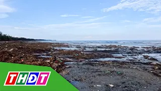 One week after Typhoon No. 1, Tra Co beach is swamped with trash | THDT