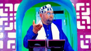 "Ciise iyo Gadabuursi waa dad walaalo ah Jabuuti iyo Diridhaba way wada joogaan goorma.." Sh Saaweer