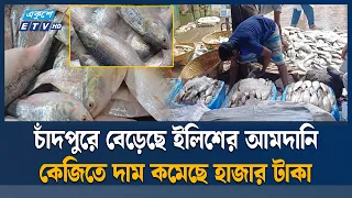 মৌসুমের শেষ দিকে চাঁদপুরে ইলিশের দাম কমেছে, বেড়েছে আমদানি | Chandpur Hilsha | Ekushey TV