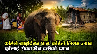 धुर्बेले रुवाएको परिवार : १५ वर्षअघि हजुरबा–हजुरआमा मार्‍यो अहिले आमाछोरा | Kantipur Samachar