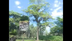 Facilita educación ambiental Jardín Botánico de Cienfuegos