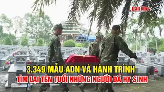 3,349 DNA Samples and the Journey to Identify Fallen Soldiers | CT-TDT