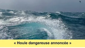 Météo du jeudi 12 février 2026 au Sénégal : Dakar et Régions