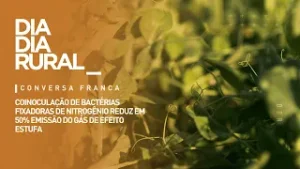 Coinoculação de bactérias fixadoras de nitrogênio reduz em 50% emissão do gás de efeito estufa