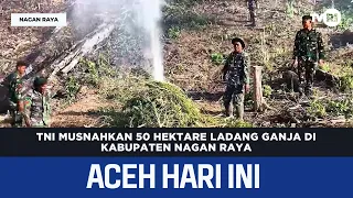 TNI Destroys 50 Hectares of Marijuana Fields in Nagan Raya Regency | Aceh News Today