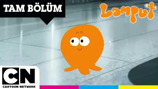 LAMPUT | Lamput'un Kaçışları | @cartoonnetworkturkiye