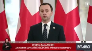 ევროსაბჭოს დოკუმენტი - პოლიტიკური შეფასებები