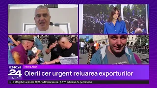 Sheep farmers' protest moves to the Government. Cezar Gheorghe: "Many will go bankrupt"