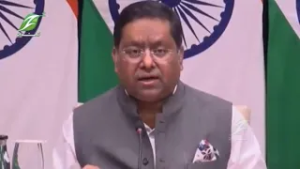 هند پر افغانستان د پاکستاني پوځي رژیم بریدونه په کلکو ټکو غندلي دي