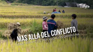 Mas allá del conflicto - renacimiento de una vocación campesina - TvAgro por Juan Gonzalo Angel