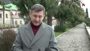 Как спасти пальмы Нового Афона? Знаменитая пальмовая аллея курорта под угрозой исчезновения