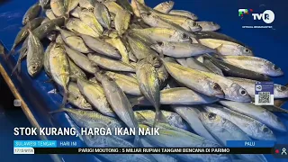 STHI - Stok Kurang, Harga Ikan Naik