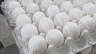 Year-End Egg Prices Expected to Remain Lower Than Last Year [Super J Channel] (September 28, 2026)