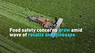 Food safety concerns grow amid wave of recalls, illnesses